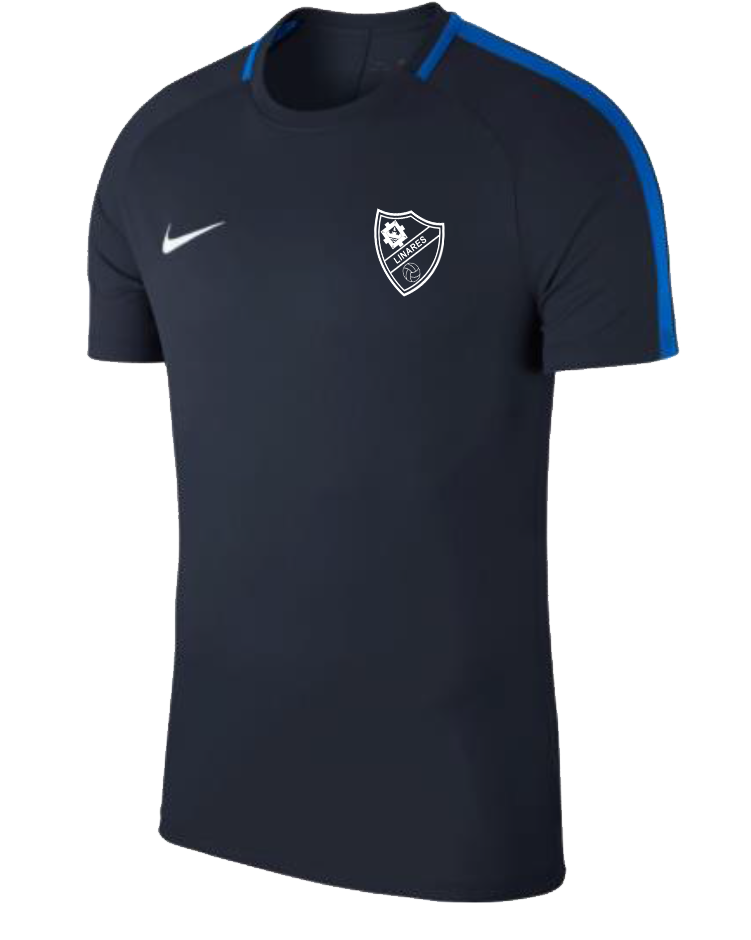 CAMISETA ENTRENO JUGADOR 20/21