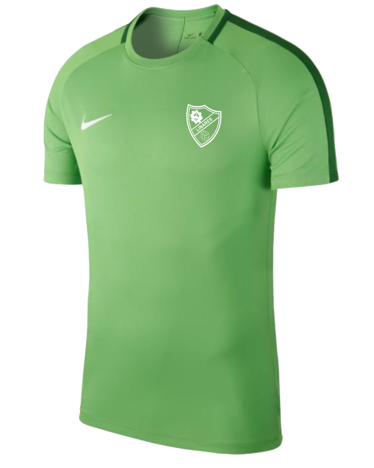 CAMISETA ENTRENO TÉCNICO 20/21